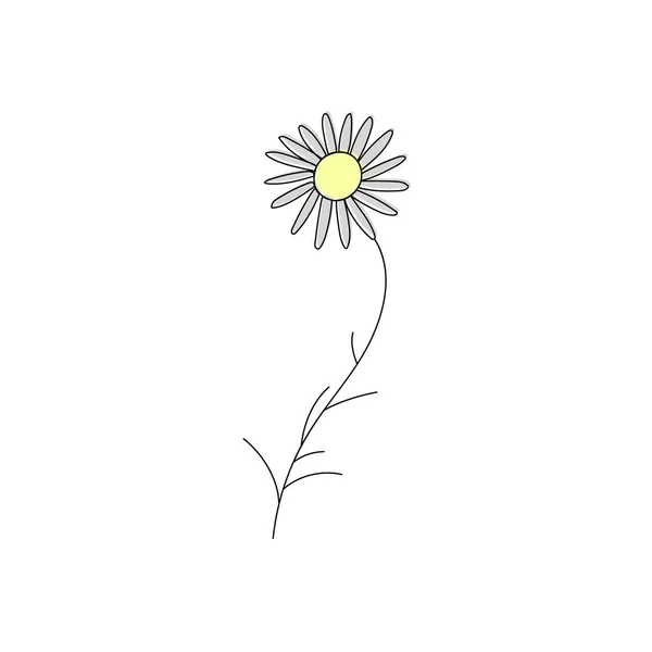 ベクトルドローイングカモミールの花 花の要素 手描きの植物イラスト — ストックベクタ