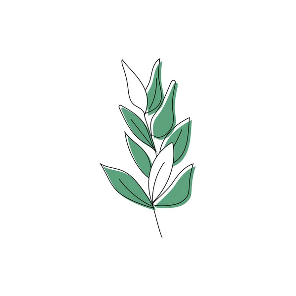 Die Zeichnung Einer Einzelnen Pflanze Blättert Zeitgenössische Minimalistische Kunst Perfekt — Stockvektor