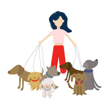 Bir kadın köpekleri gezdirir. Düz biçimli vektör illüstrasyonu