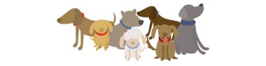 Şirin köpekler düz vektör seti. Çizgi film köpekleri ya da köpek karakterleri farklı pozlarda düz renkli tasarım koleksiyonu. Beyaz arka planda izole edilmiş bir grup komik hayvan..
