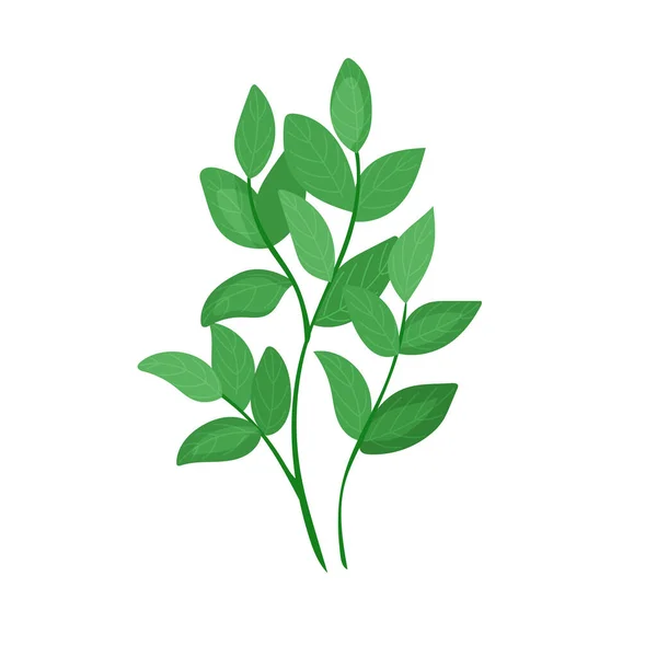 Bos Botanische Element Van Lingonberry Bosbes Een Groene Plant Een — Stockvector