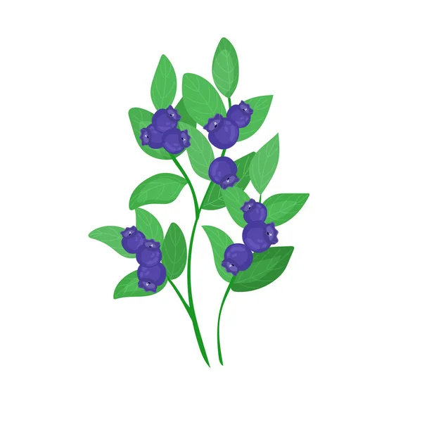 Eine Grüne Waldpflanze Ein Kleiner Blaubeerstrauch Mit Beeren Cartoon Stil — Stockvektor