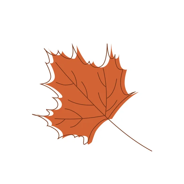Een Esdoorn Blad Herfst Kleur Geïsoleerd Een Witte Achtergrond — Stockvector