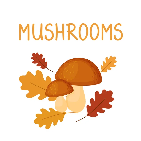 Two Cute Boletus Hog Mushrooms Background Autumn Leaves Isolated White — Stock Vector
