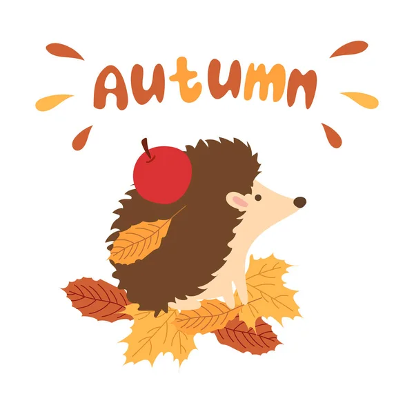 Herfst Schattige Egel Zit Gouden Bladeren Met Een Appel — Stockvector