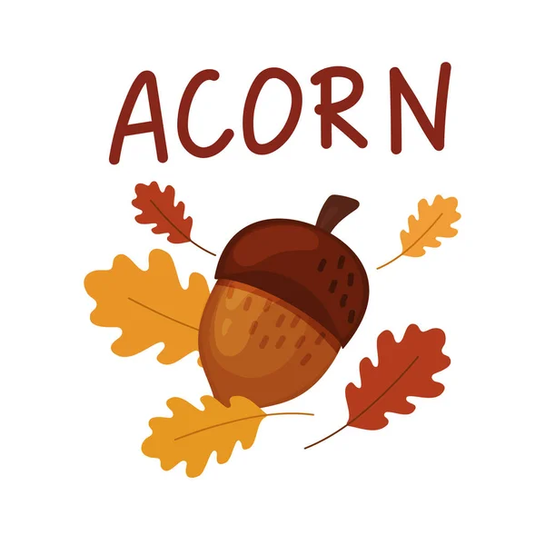 Dubové Ovoce Pozadí Podzimních Listů Kreslený Styl Žalud Izolované Bílém — Stockový vektor