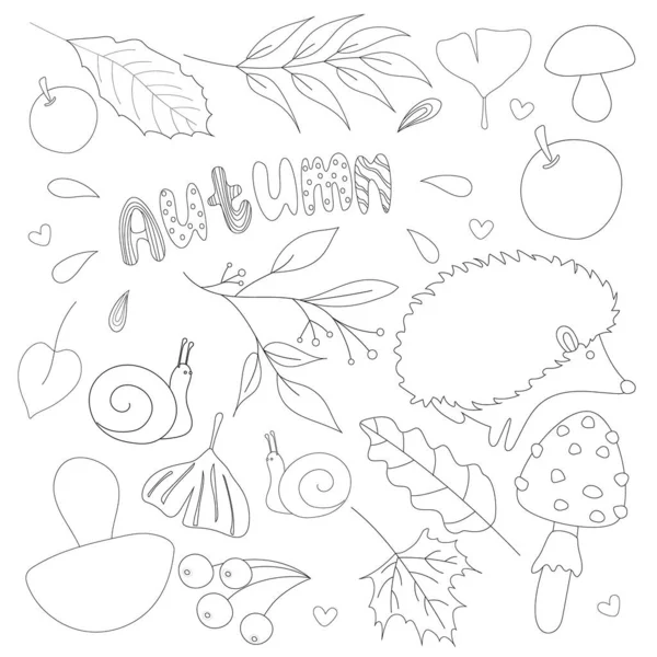 Сезонная Осенняя Коллекция Лесных Животных Листьев Черным Штрихом Детских Книг — стоковый вектор
