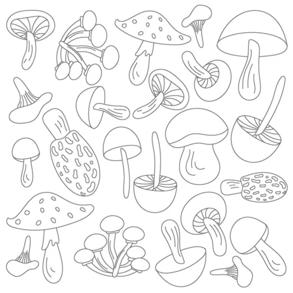 Mushrooms Black Line Stroke Children Books Coloring Peges Set Autumn — Stock Vector