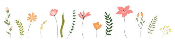 Blommor Och Växter Färg För Att Dekorera Olika Mönster Samling — Stock vektor