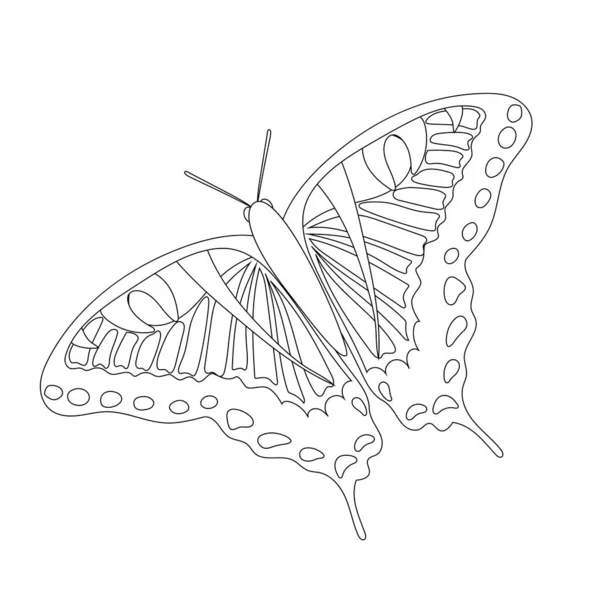 Livre Colorier Papillon Pour Enfants Noir Blanc Isolé Sur Fond — Image vectorielle