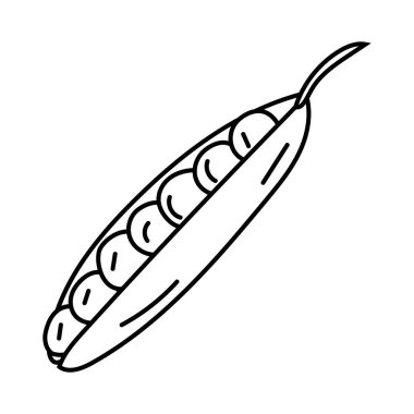 Yeşil bezelyeler, siyah beyaz karalama tarzında kabuk. Baklagil, tarla bitkisinin bezelye vektör çizimi, protein açısından zengin temel besin, siyah çizgi, izole edilmiş.