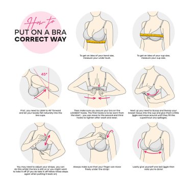 Sütyenin nasıl düzgün takılacağını. Modern vektör bilgisi. Adım adım talimatlar, sutyenin nasıl düzgün takılacağı..