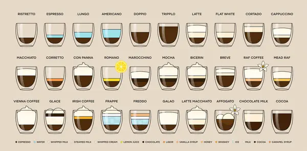 不同类型咖啡的指南 关于咖啡类型 比例及其配制的咖啡饮品的信息 咖啡菜单 矢量说明 — 图库矢量图片