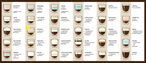 Руководство Различным Типам Кофейных Напитков Инфографика Видах Кофе Пропорциях Приготовлении Векторная Графика
