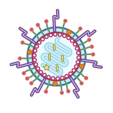 Düz modern tarzda insan metapnömotorirüs ikonu. HMPV 'nin düz model heykeli. Vektör illüstrasyonu