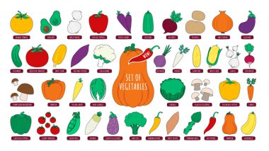 Düz stil taze sebzeler. Organik yiyecekler, tarım ürünleri, sağlıklı yiyecekler. Vektör illüstrasyonu