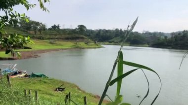 Parktaki gölet manzarası