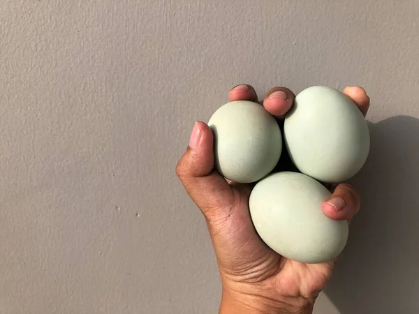 Руки Солеными Яйцами Уток Которые Обработаны — стоковое фото