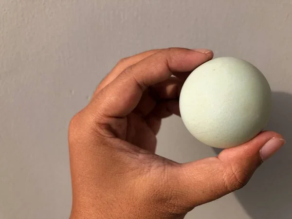 Tangan Memegang Telur Asin Dari Bebek Yang Telah Diproses — Stok Foto