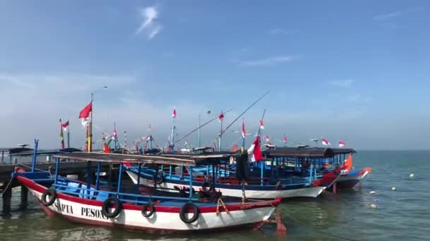 Řady Indonéských Vlajkových Lodí Tradiční Nástroje Pro Námořní Dopravu Dřeva — Stock video