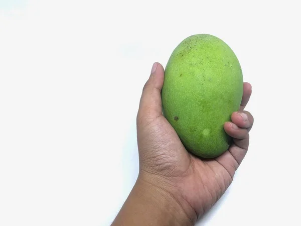 Hand Houden Frisse Groene Mango Witte Achtergrond — Stockfoto