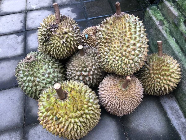 Durian Meyvesi Çok Lezzetli Lezzetli — Stok fotoğraf