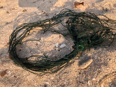 Sahilde balık ağları