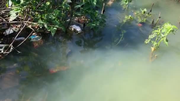 Jepara Luty 2024 Odpady Tworzyw Sztucznych Rzekach Wiejskich — Wideo stockowe
