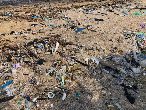 Jepara, 23 Şubat 2024 - Plajda plastik atık