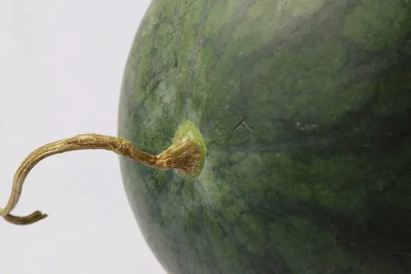 Karpuz meyvesini kapat