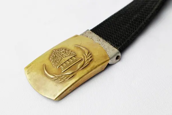 Jepara, 18 Agustus 2024 ASN çalışan logosuna yakın çekim.