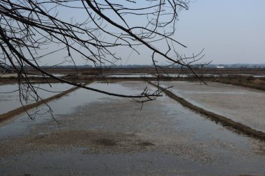 Kırsal bölgedeki nehir.