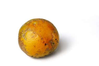 Portakal kabuğu dokusuna yakın çekim