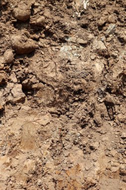 toprak dokusu arkaplanı, zemin yüzeyi