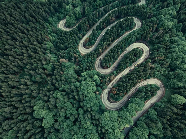 Ormandaki yolun havadan görünüşü 