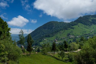 Yaz mevsiminde Idyllic dağ manzarası. Carpathian, Romanya, Avrupa.
