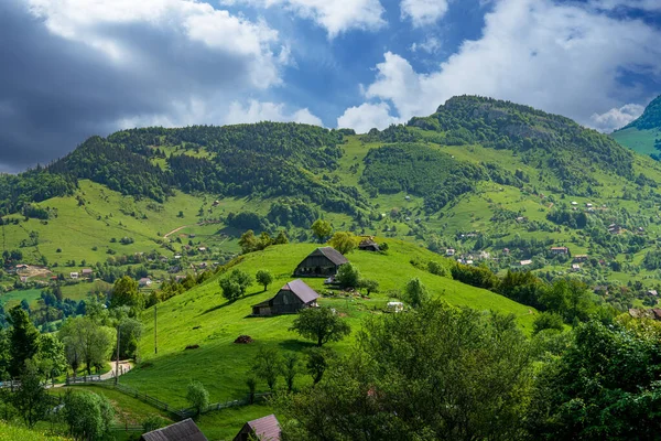 Yaz mevsiminde Idyllic dağ manzarası. Carpathian, Romanya, Avrupa.