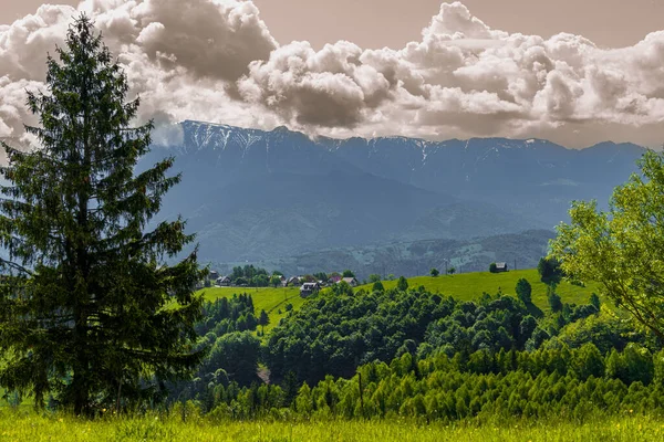 Idyllische Berglandschaft Sommer Karpaten Rumänien Europa — Stockfoto