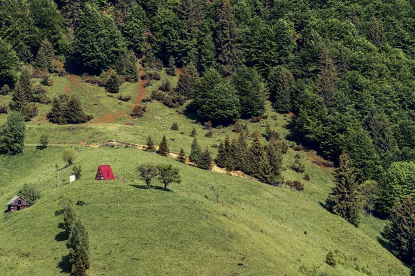 Romanya 'nın Transilvanya kentindeki dağ manzarası. Yazın ortasında, güneşli bir günde tipik kırsal alan.