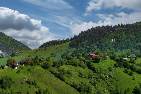 Berglandschaft Siebenbürgen Rumänien Typische Ländliche Landschaft Hochsommer Einem Sonnigen Tag — Stockfoto