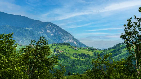 Berglandschaft Mit Grünem Tal Der Schweiz — Stockfoto