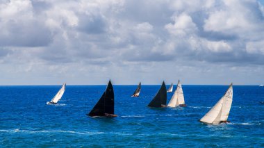 Denizde yelkenli yatı