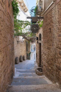 Breathtaking Vieste: Landscapes of the Adriatic