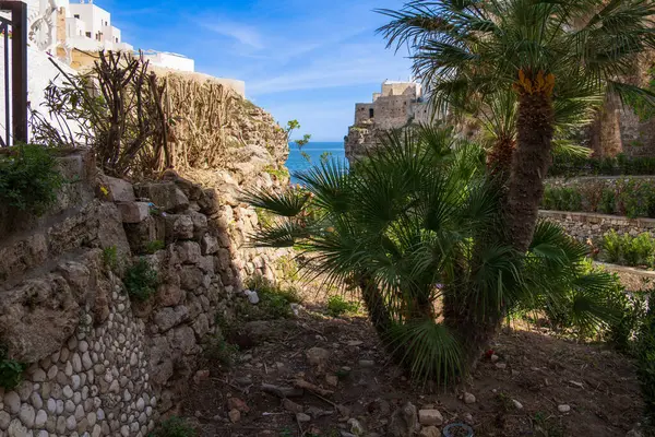 Polignano şehri, Akdeniz.