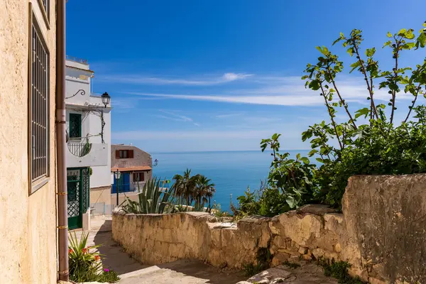 Breathtaking Vieste: Landscapes of the Adriatic