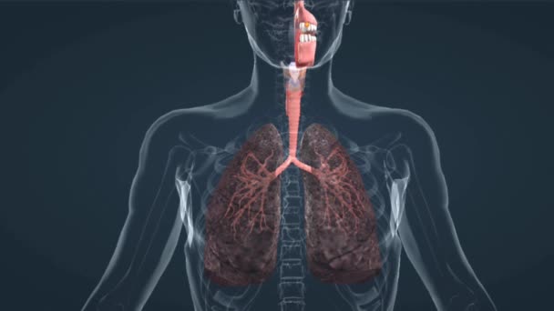 Katran Kalıntılarından Etkilenen Akciğerler Hassas Dokuları Kaplayan Siyah Yapışkan Kalıntı — Stok video