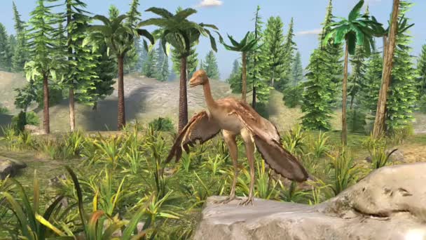 Archaeopteryx Archaeopteryx Kluczowy Związek Między Dinozaurami Ptakami Jest Małym Upierzonym — Wideo stockowe