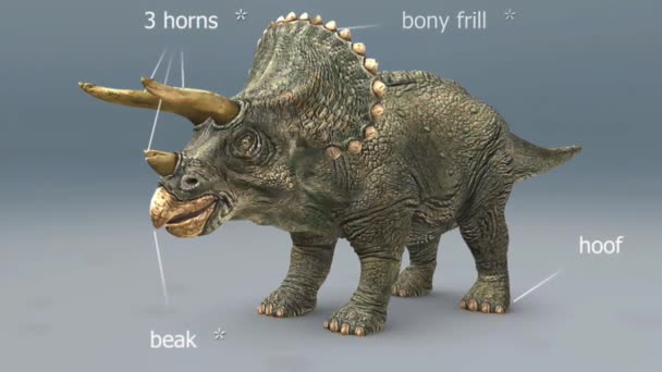트리케라톱스 시대의 동물들 중에는 길이가 9미터 높이가 3미터에 달하는 튼튼한 — 비디오