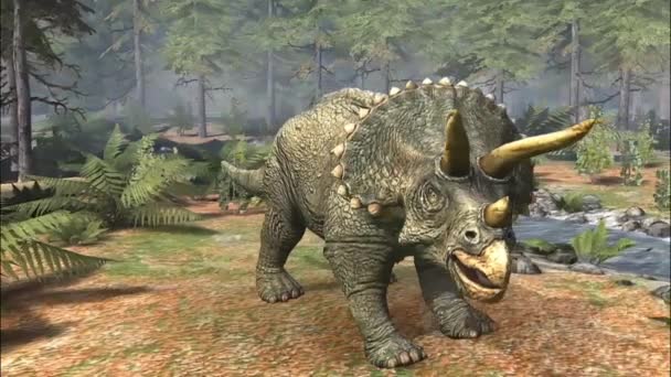 トリケラトプス その象徴的な冷蔵庫と強力な建物で知られている その顔に3つの特徴的な角を持つ巨大な草食恐竜 — ストック動画