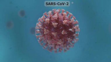 Coronavirus: Humma, öksürük ve nefes almada zorluk gibi semptomlarla karakterize edilen, nezle ile COVID-19 gibi ağır hastalıklar arasında değişen bir virüs ailesi..